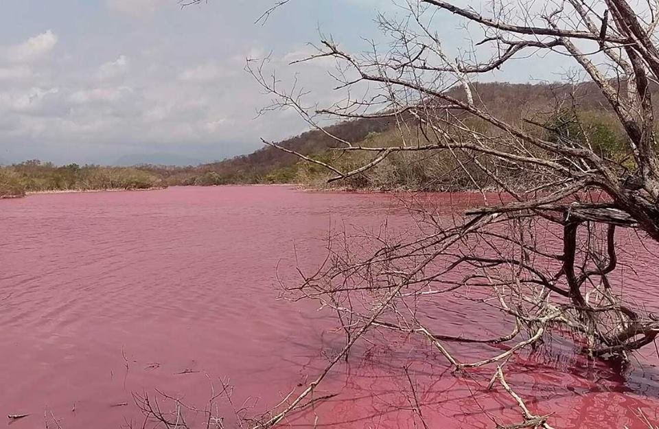 Red lagoon 