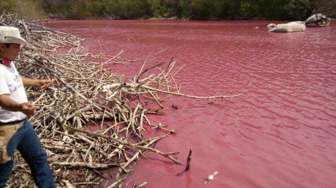 red lagoon
