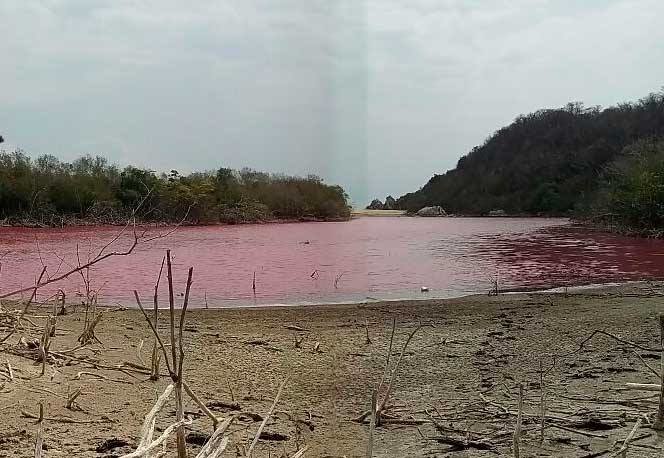 red lagoon