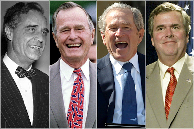 Click to enlarge Bushes