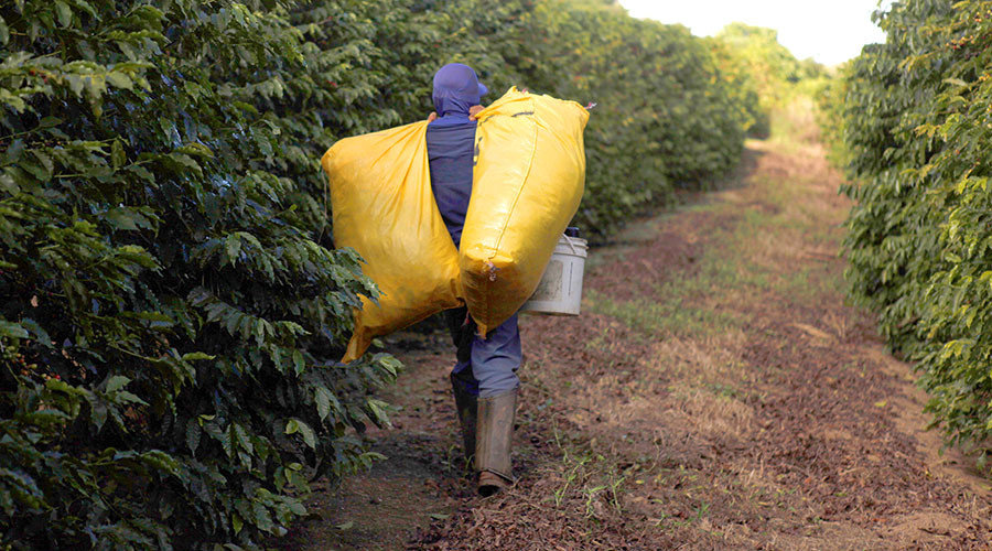Click to enlarge coffee slavery