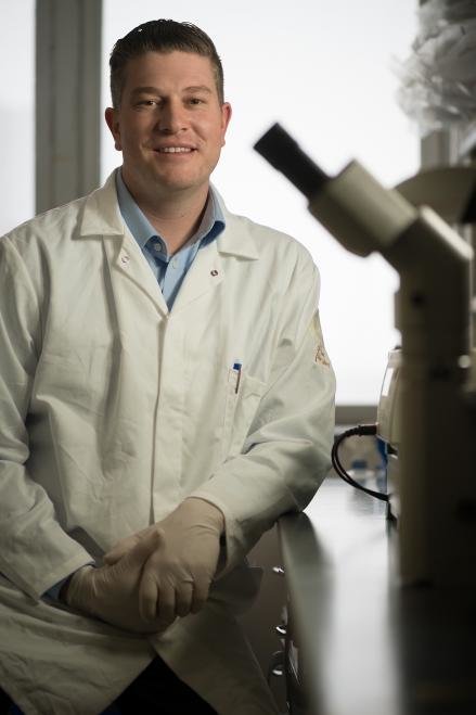 Click to enlarge stem cell research Tony Parenti