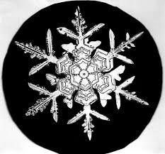 Click to enlarge snowflake,