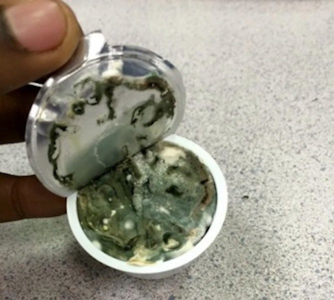 Click to enlarge Moldy cream cheese