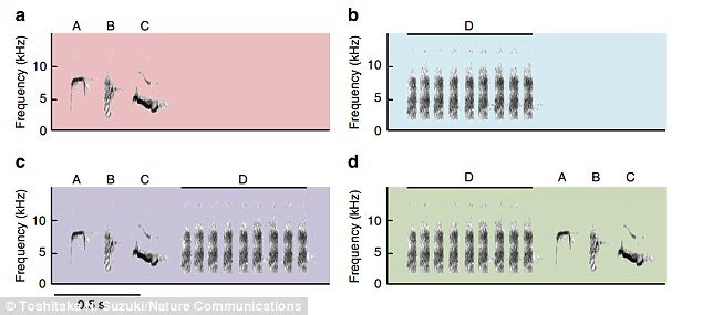 Click to enlarge The spectrographs pictured show the different call types the researchers studied
