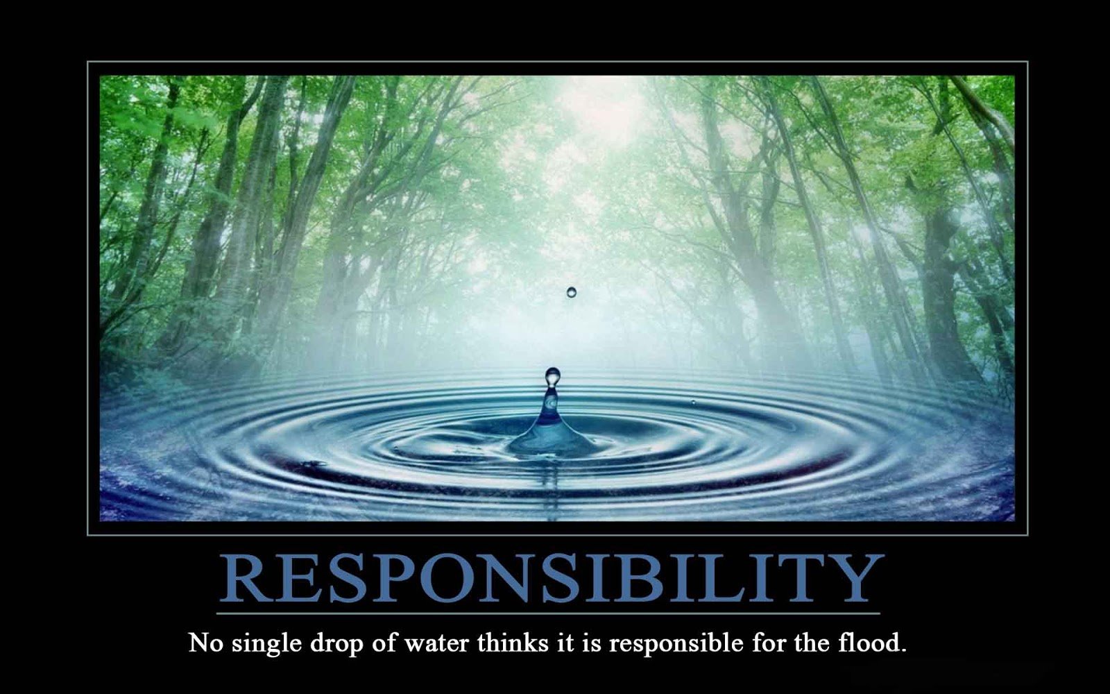 responsibility