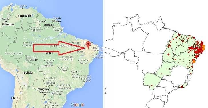 Click to enlarge zika gmo mosquitos