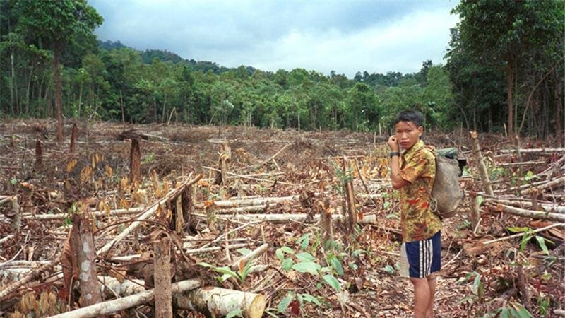 Click to enlarge Penan tribe