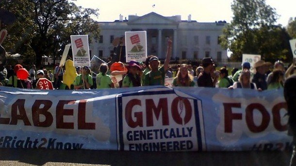 GMO labeling