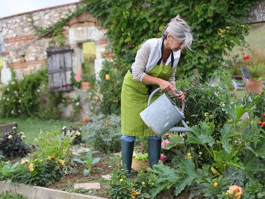 gardening, exercise