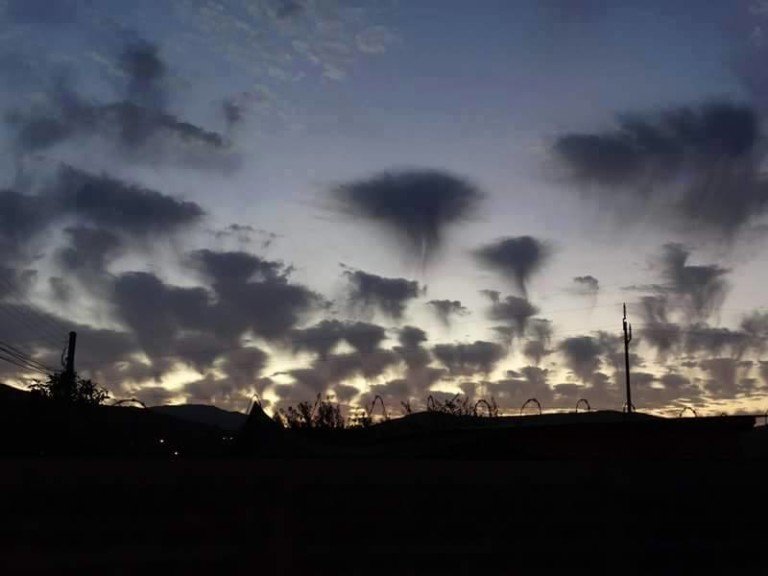 Jellyfish clouds