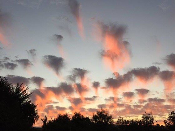 Jellyfish clouds