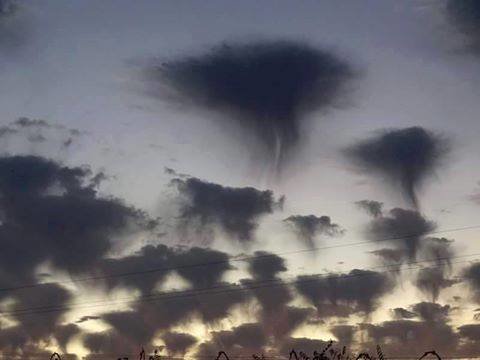 Click to enlarge Jellyfish clouds