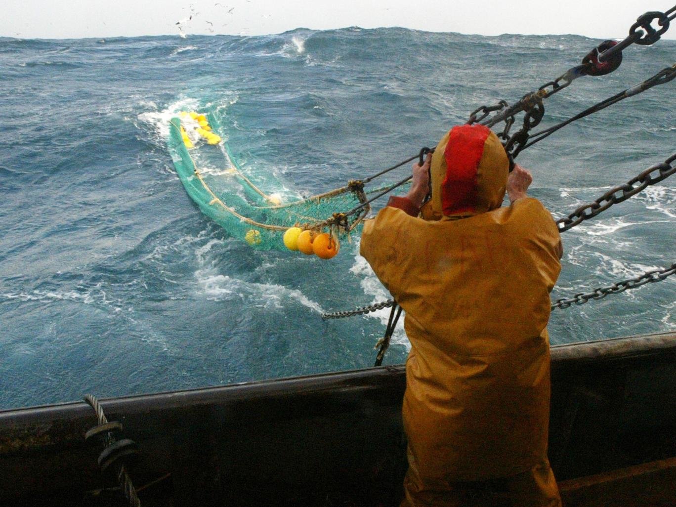 Click to enlarge Pulse fishing