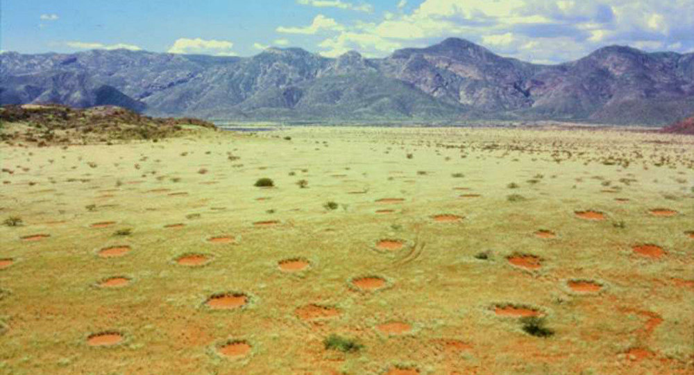 fairy circles