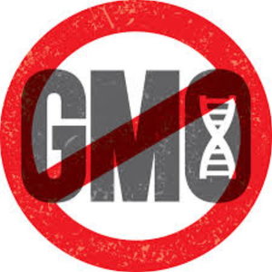 Anti GMO
