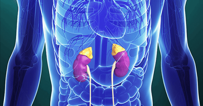 adrenal fatigue