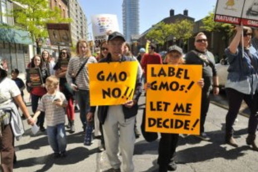 GMO senate bill