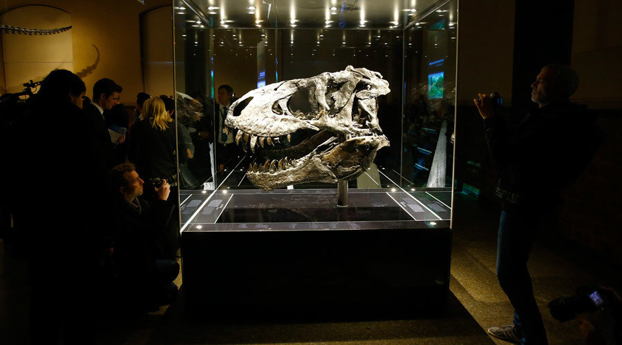 Click to enlarge T-rex skeleton