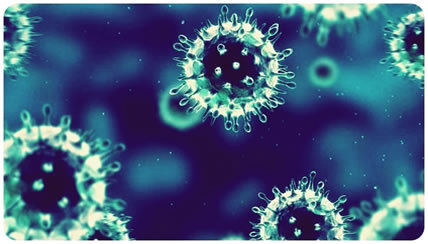 Click to enlarge virus