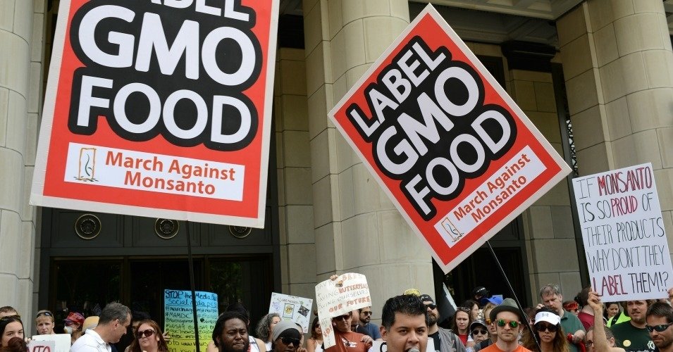 GMO protest