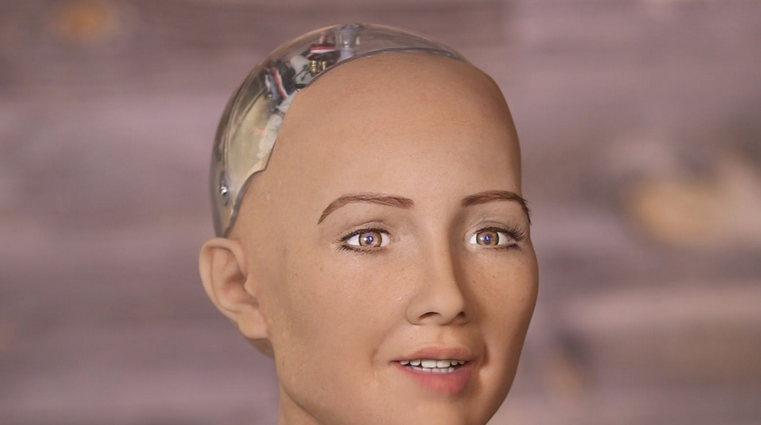 sophia the robot