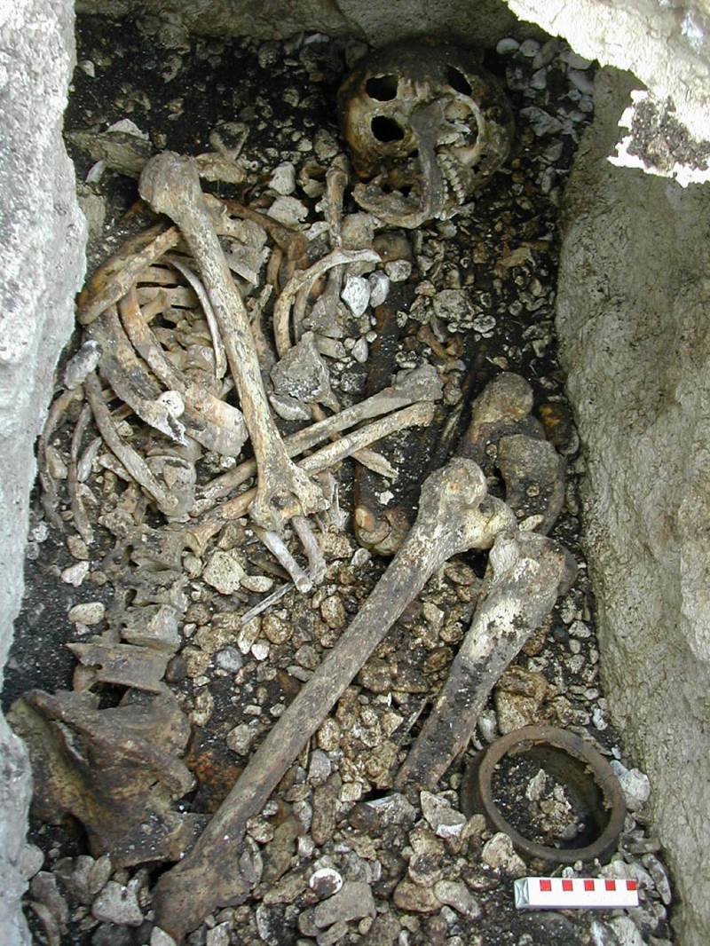 Click to enlarge pre celtic bones