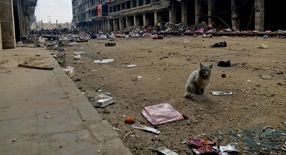 Click to enlarge Aleppo Syria