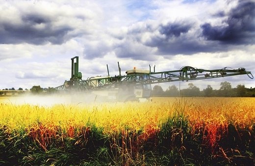 Click to enlarge Glyphosate