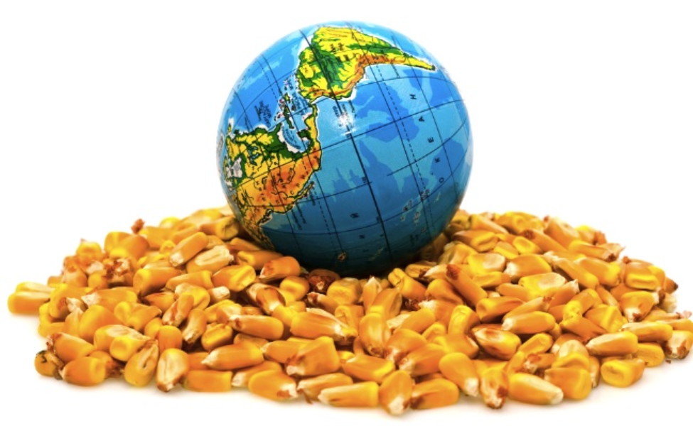 Click to enlarge GMO world