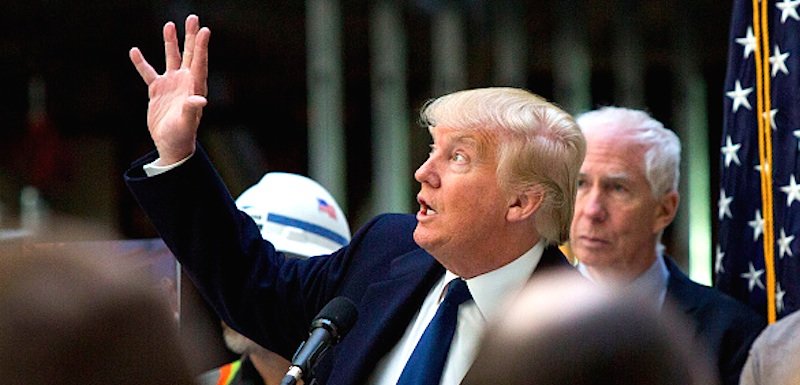 Click to enlarge trumpy