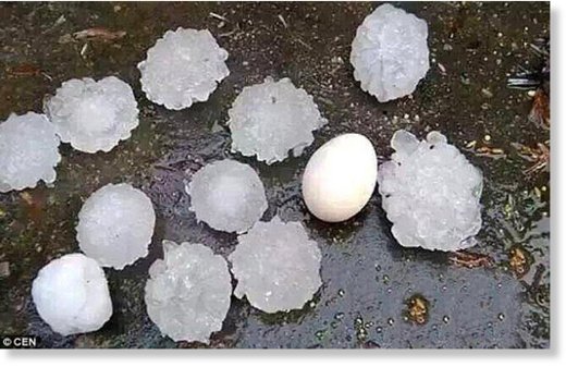 Click to enlarge Boiled egg anyone? These giant hailstones hit Chenzhou City on March 17 causing serious damage to the area