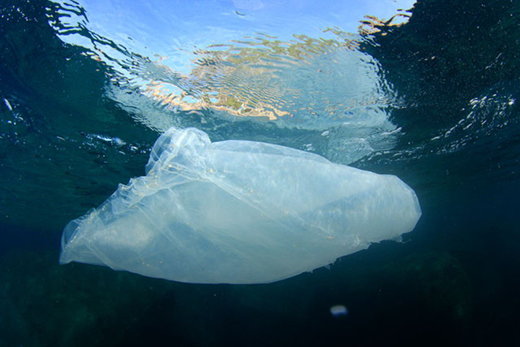 ocean plastic
