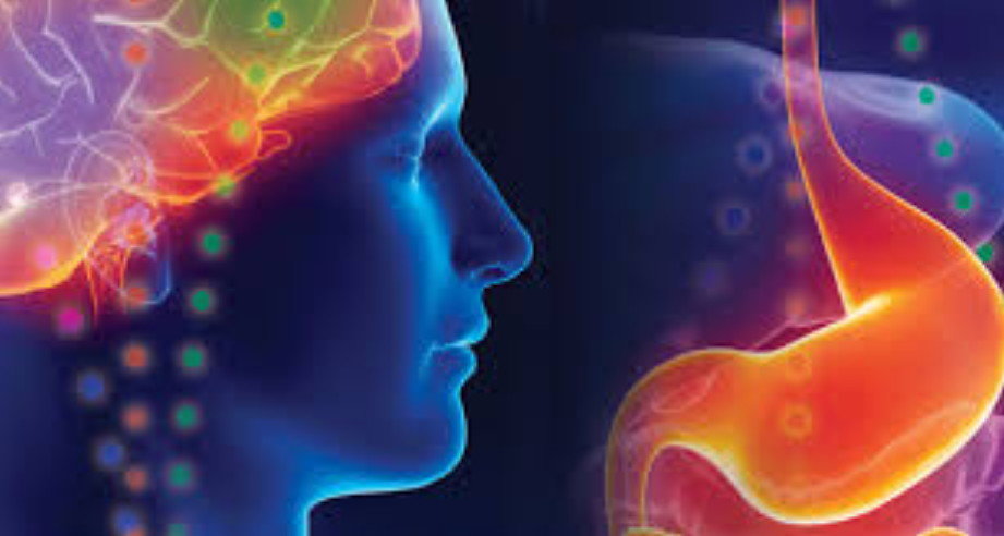 psychoneuroimmunology