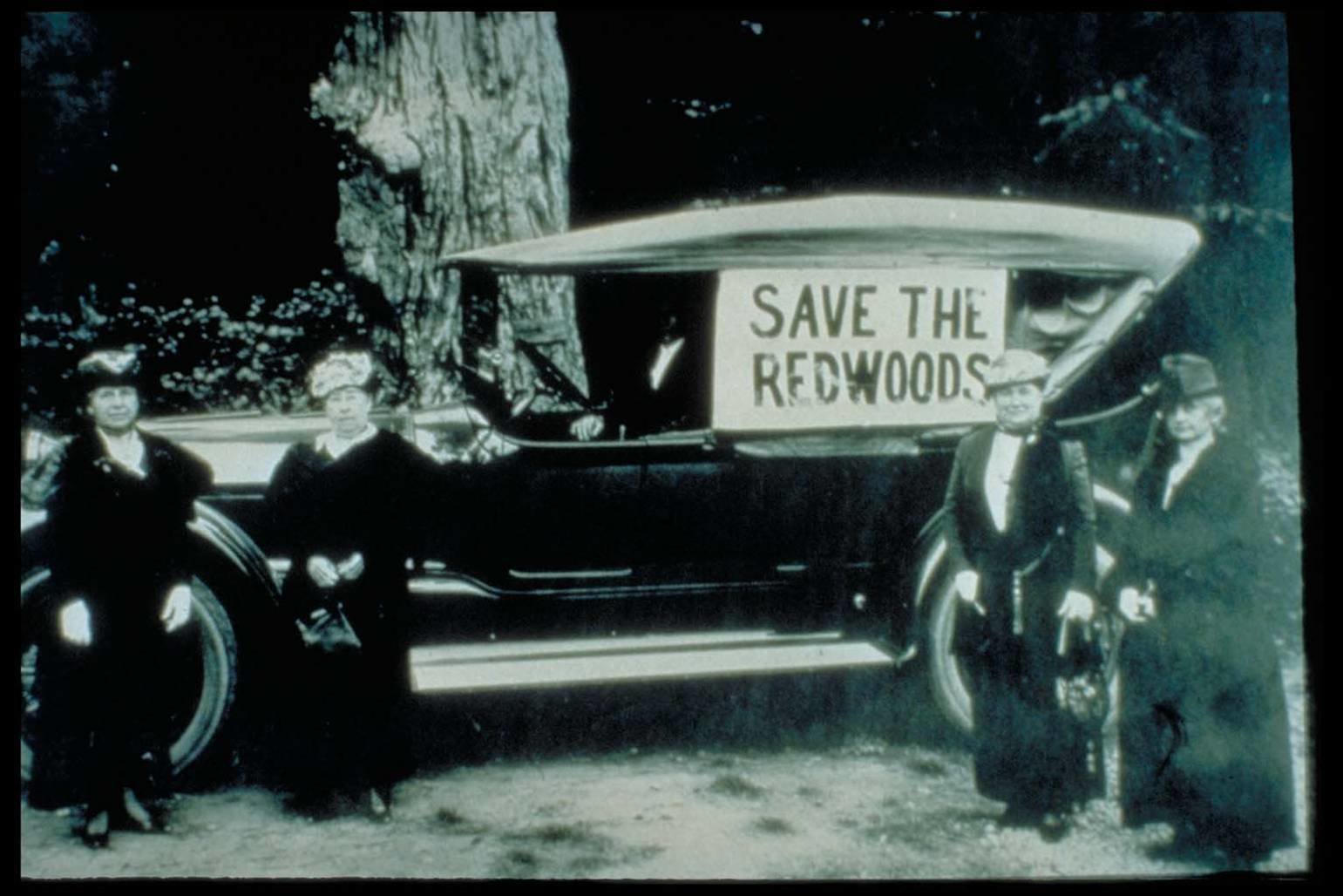 Save the Redwoods ladies