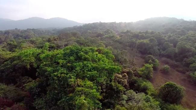 Click to enlarge India sanctuary