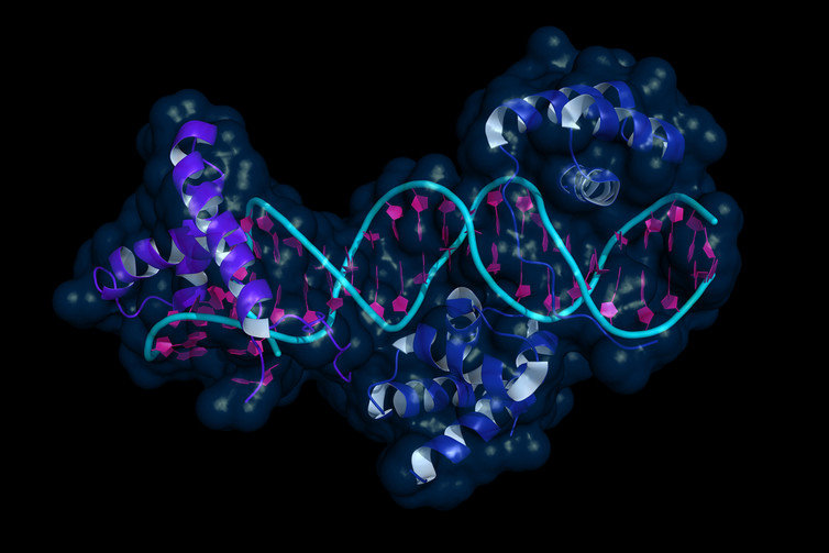 gene