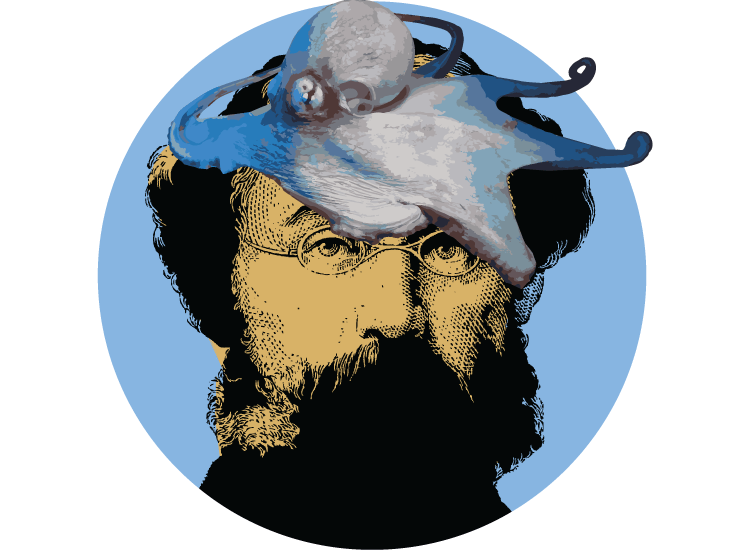 Click to enlarge octopus head
