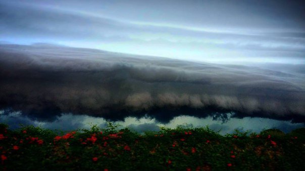 Click to enlarge Shelf Cloud