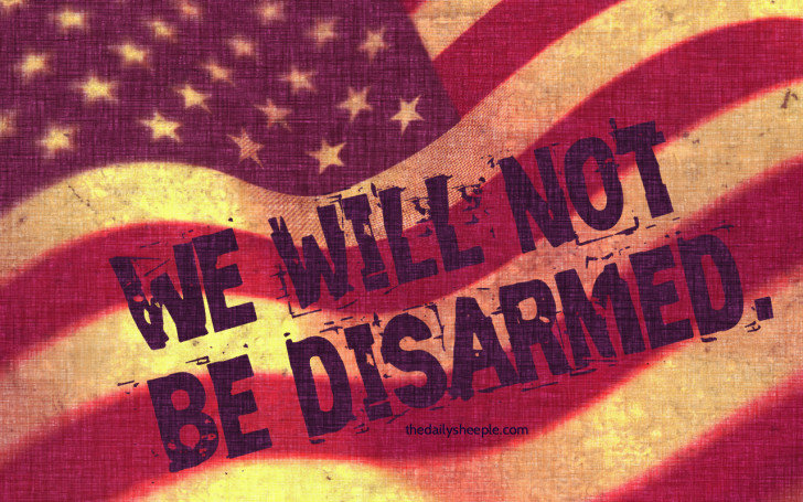 We Will Not Be Disarmed graphic