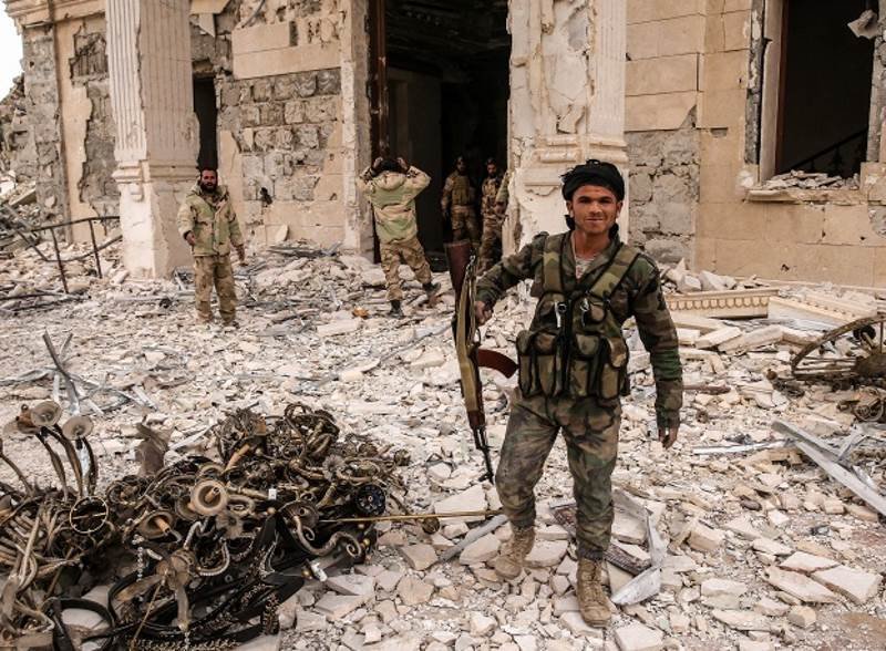 Palmyra liberator