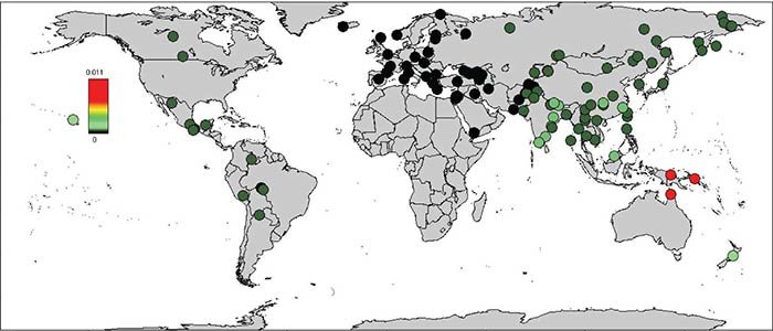 Denisovan genome map