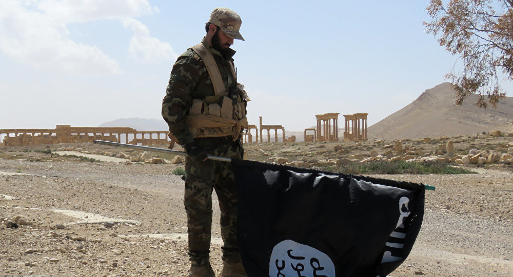 Click to enlarge palmyra liberated