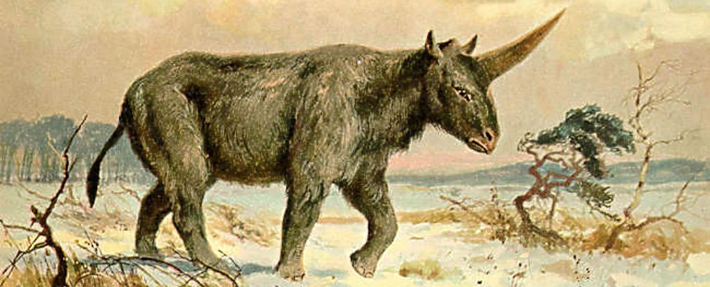 Click to enlarge Elasmotherium sibiricum