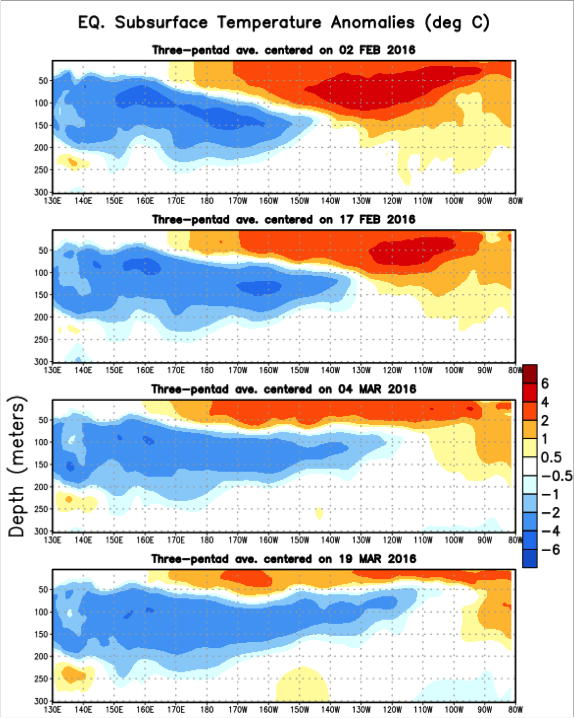 Click to enlarge EQ subsurface temperature anomalies, el nino 2016