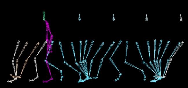 Click to enlarge human walk