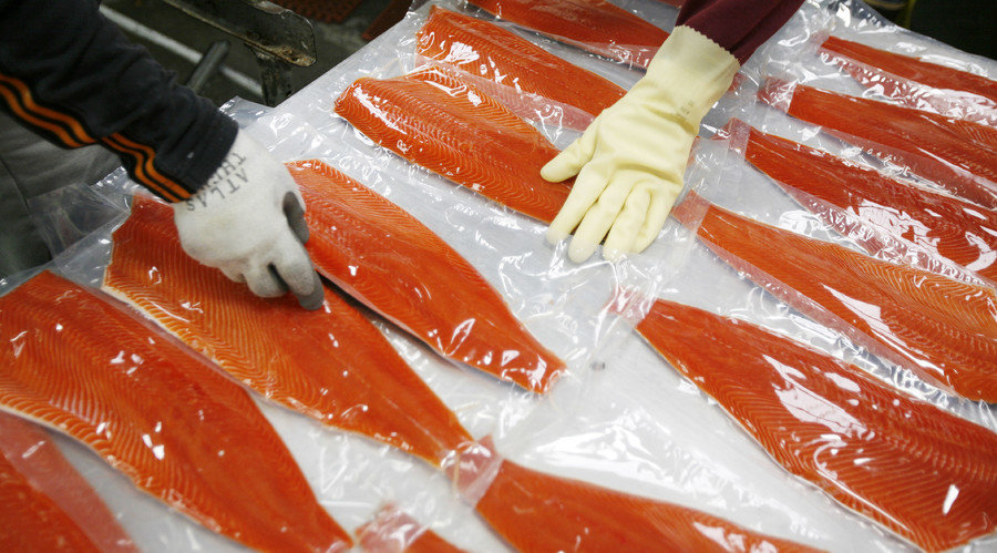 salmon