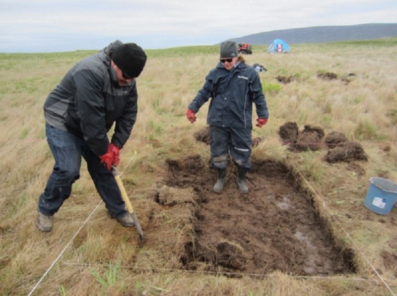 Click to enlarge Viking Find in N.America