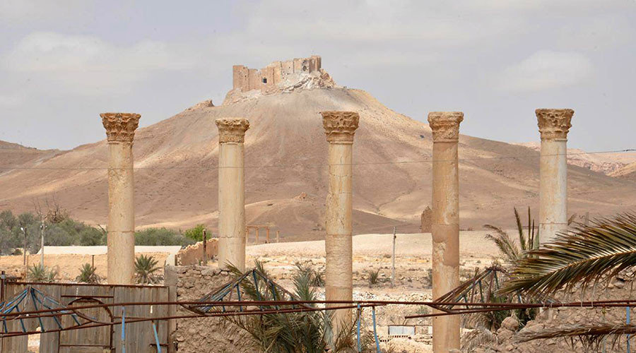 palmyra