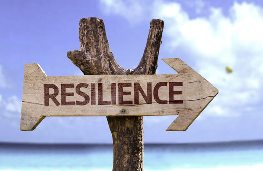 Click to enlarge resilience tree sign ocean